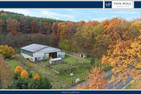 Bad Belzig Halle, Bad Belzig Hallenfläche