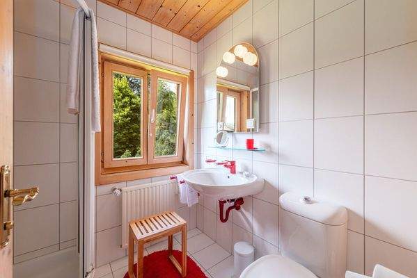 KR-Real-GmbH_Wohnhaus-Ramsau-195©DS-31