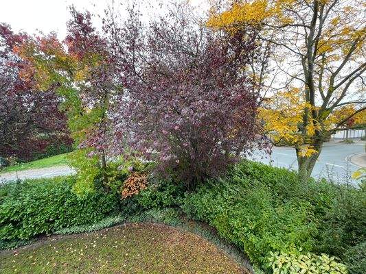 Vorgarten zum Heideweg