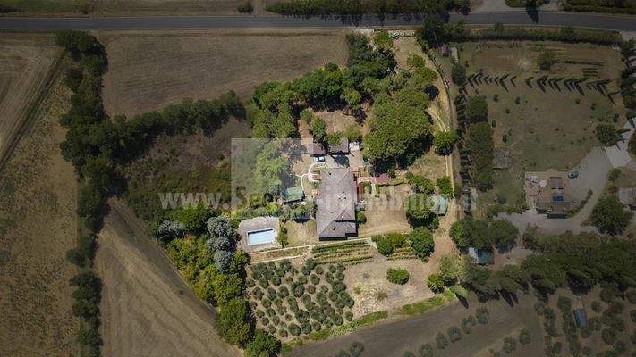 Villa-Toskana-Urlaub-Ferienhaus-Ferienwohnung-Traum-Oliven-Wein-Florenz-Siena-Assisi-Ruhe-Haus-Einfamilienhaus