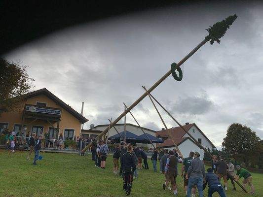 Kirtabaum-Aufstellen