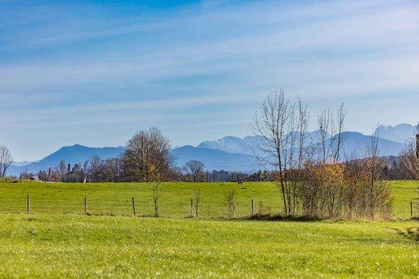 Traumblick bis zu den Alpen