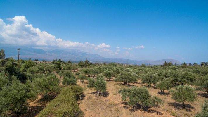 Kreta, Kefalas: NEUBAU! Gemütliche Villa unter den Olivenbäumen zu verkaufen