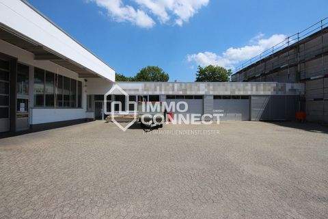 Königswinter Halle, Königswinter Hallenfläche