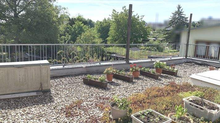 Dachterrasse WE 1. OG