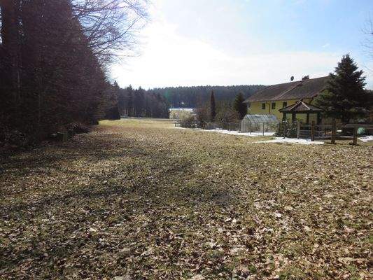 Landhaus am Waldrand 