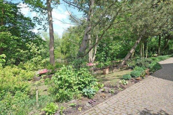 Grundstück an der Teichseite