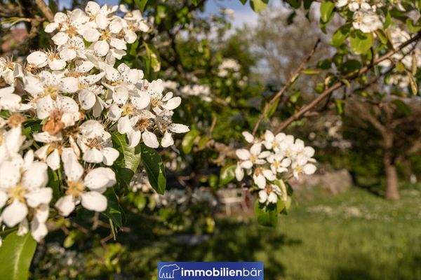 Bild 40