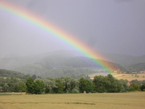 Hirschbach Bauernhöfe, Landwirtschaft, Hirschbach Forstwirtschaft