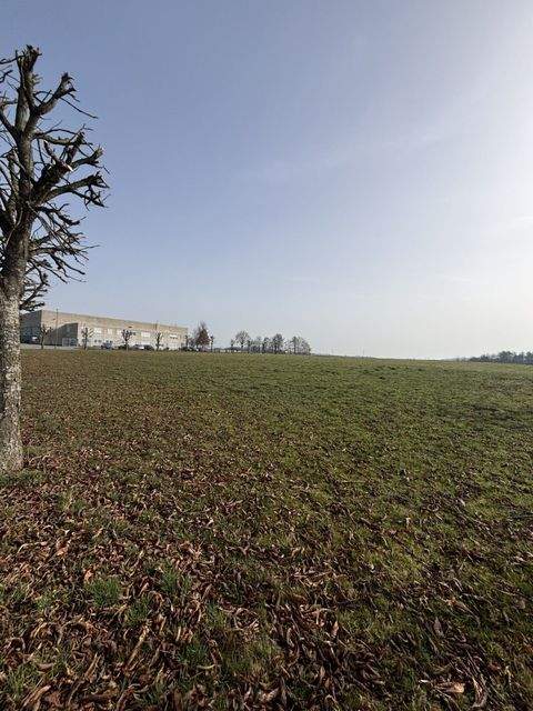 Bad Schussenried Grundstücke, Bad Schussenried Grundstück kaufen