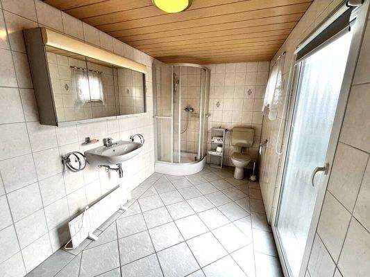 DG mit Tageslicht-Duschbad