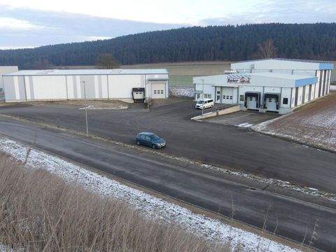 Pressath Halle, Pressath Hallenfläche