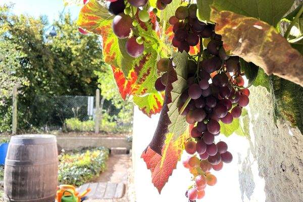 Zweifamilienhaus mit viel Platz