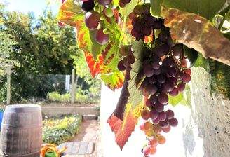 Zweifamilienhaus mit viel Platz