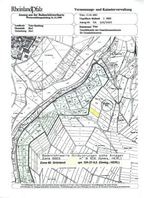 Flur- Katasterkarte Grundstück landwirtschaftl. Fl