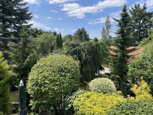 Blick in den Garten