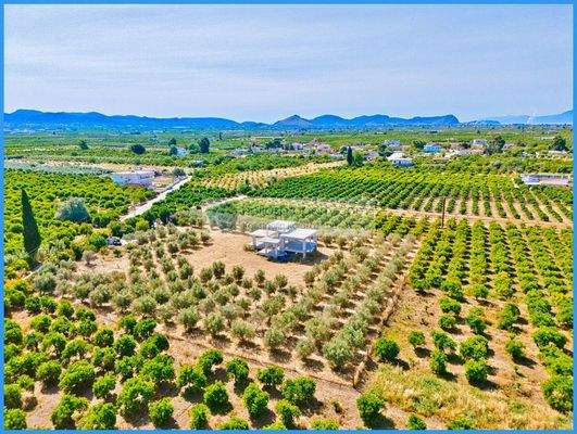 f96339bacce046599eef14070345278d-original