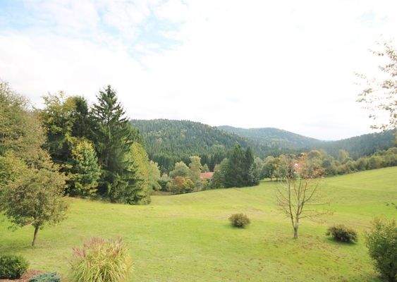 Blick vom Balkon (OG)