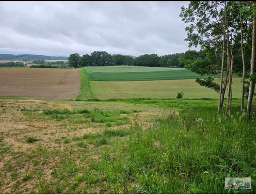 Landwirtschaftsfläche &quot;Axtfeld&quot; Gemarkung Walda