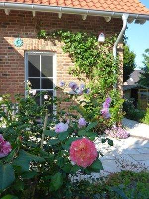 Terrassentür Küche