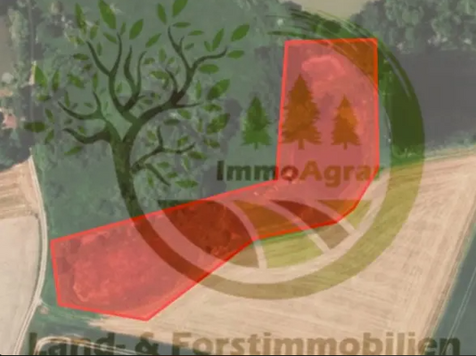ImmoAgrar_Stadtsteinach_Weiher_01.png