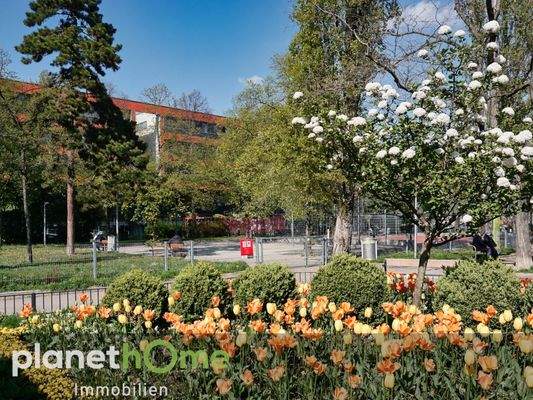 Umgebung Parkanlagen