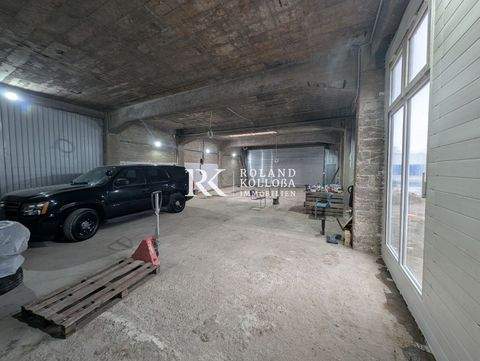 Hannover Halle, Hannover Hallenfläche