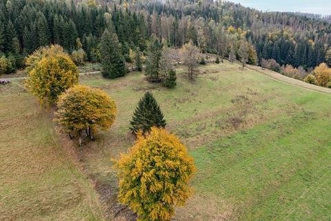 Schleusegrund Grundstücke, Schleusegrund Grundstück kaufen