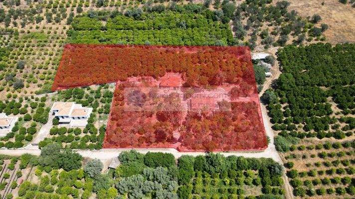 img_5b321048-06ef-402b-a610-a4ef256b2669