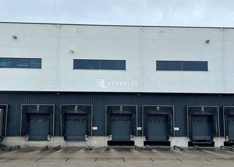 Köln Halle, Köln Hallenfläche