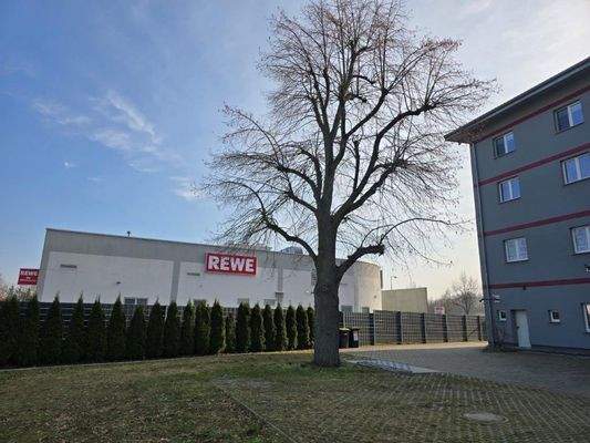 Blick zu REWE