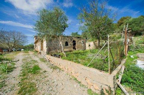 Arta Grundstücke, Arta Grundstück kaufen