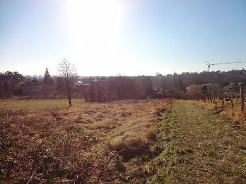 Wien Bauernhöfe, Landwirtschaft, Wien Forstwirtschaft