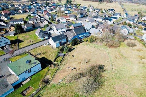 dji_fly_20250327_101224_999_1743067104694_photo.jp