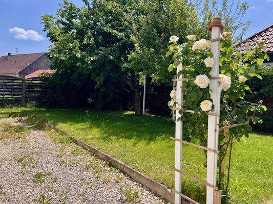 Gartenausschnitt Südseite