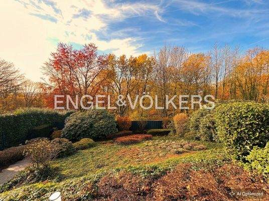 Blick von der Terrasse in den Garten
