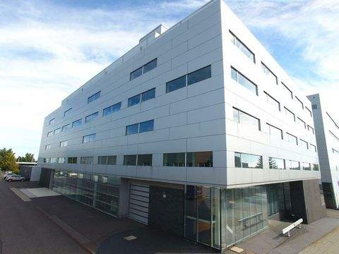 Freiberg Halle, Freiberg Hallenfläche