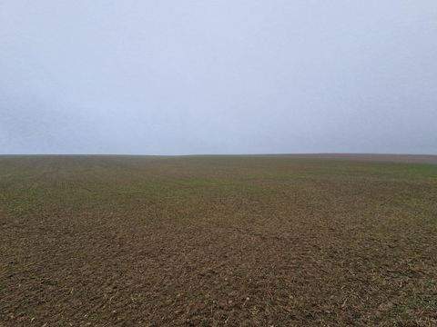 Großmugl Bauernhöfe, Landwirtschaft, Großmugl Forstwirtschaft