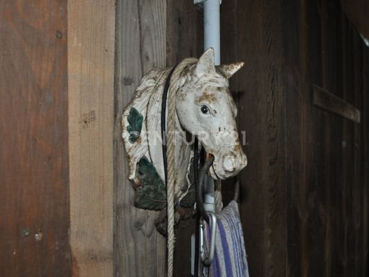Pferdehof Details