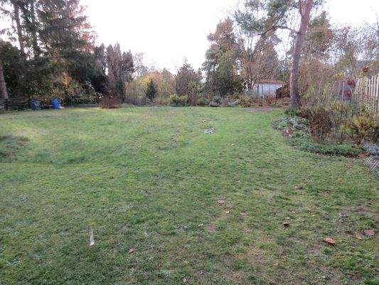 Blick in den gemeinschaftlichen Garten