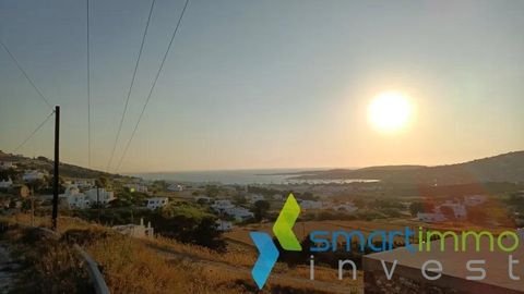 Protorgia, Paros Bauernhöfe, Landwirtschaft, Protorgia, Paros Forstwirtschaft