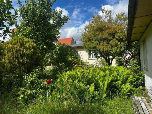 Ansicht 4