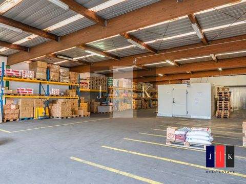 Hamburg Halle, Hamburg Hallenfläche