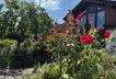 Garten (4)