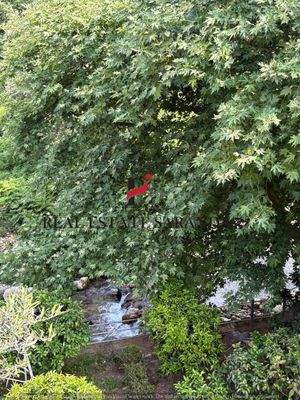 WhatsApp Image 2025-05-11 at 10.27.33-11.jpeg