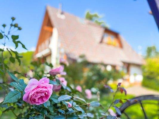 Liebevoll angelegter Garten