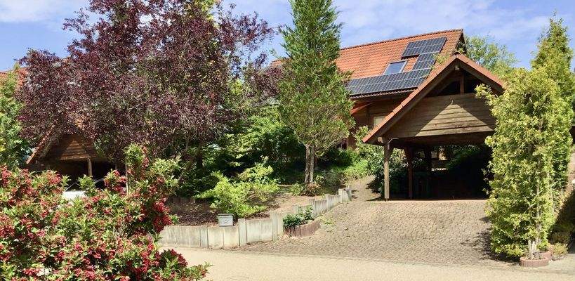 Gartenansicht mit zwei Carpots