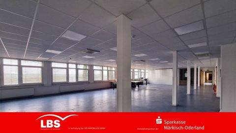 Steinhöfel Halle, Steinhöfel Hallenfläche