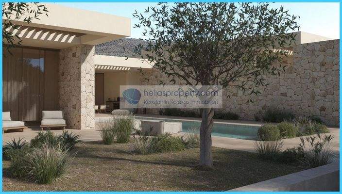 Mediterranes Ambiente Olivenbäume