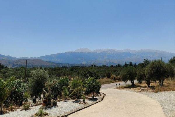 Kreta, Kalamitsi Amigdali: Charmantes kretisches Haus mit privatem Olivenhain und Bergblick zu verkaufen